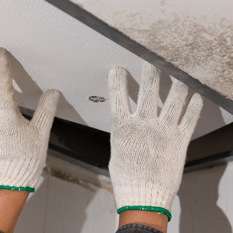 Remodeling and water damage restoration in Birmingham, AL Remodeling and water damage restoration in Birmingham, AL